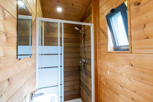 a bathroom with a shower and a glass door at Tiny House, Clim et Bassin in Auriac-du-Périgord