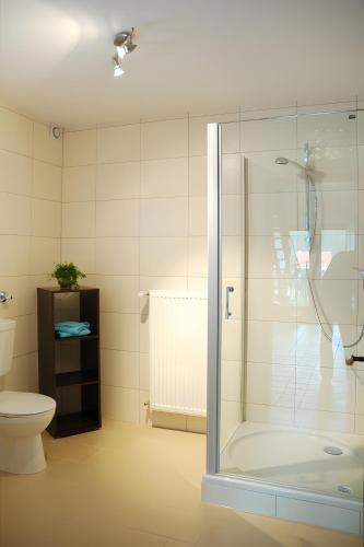 a bathroom with a shower and a toilet at Ferienwohnung Poll in Wimbach