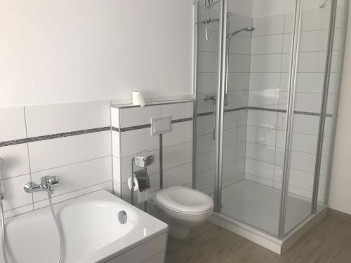 a bathroom with a shower and a toilet and a sink at Ferienwohnung, 110qm in Hohen Wangelin