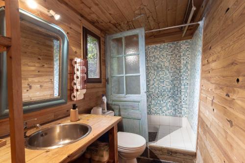 a bathroom with a sink and a toilet at Petite maison de bois in Banyuls-dels-Aspres