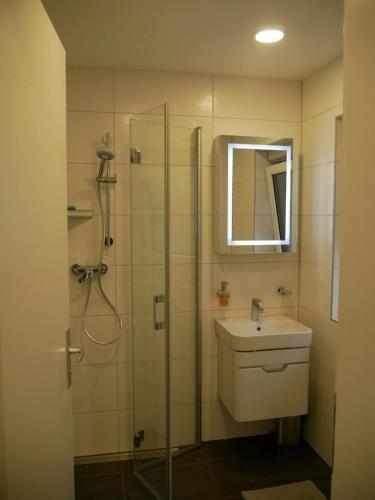 a bathroom with a sink and a shower with a mirror at Am Kiefernweg 17 in Schwielochsee