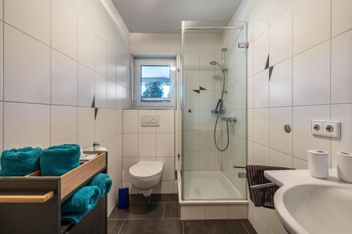 a bathroom with a sink and a toilet and a shower at Haus Gisela - Stockkamp in Todtmoos