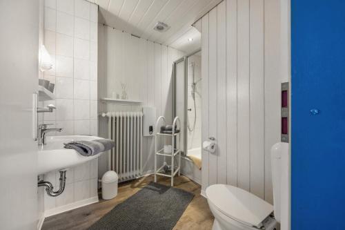 a white bathroom with a toilet and a sink at Ferienhäuser Ella Walter - Efeuhaus in Nordstrand