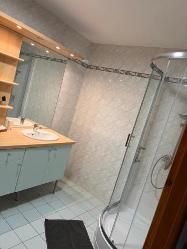 a bathroom with a shower and a sink at L auberge des marais proche Marennes Oléron in Saint-Just