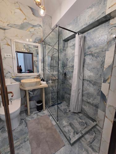 a bathroom with a shower and a toilet and a sink at Fabian Apart CenterTown in Tulcea