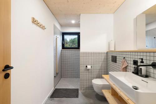 a bathroom with a toilet and a sink at Ferienappartements Bayer in Sigmarszell