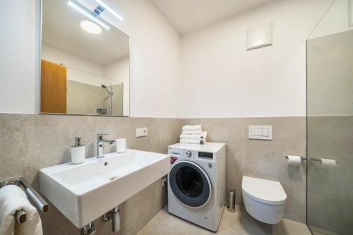 un bagno con lavatrice e lavandino di Villa Pinie Apt 2 a Terlano