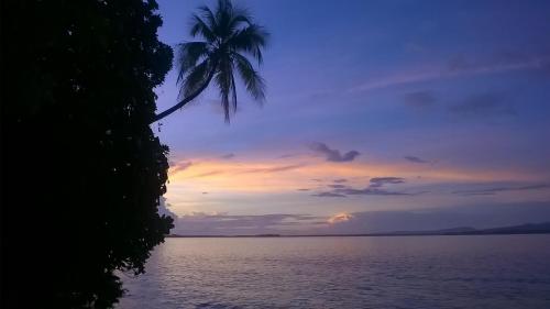 a palm tree over a body of water at sunset at Evis Resort at Nggatirana Island in Halisi