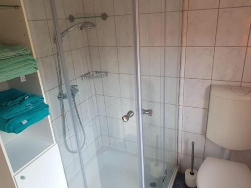a shower with a glass door next to a toilet at Haus Mara in Emden