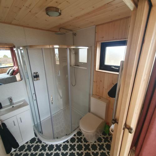 a bathroom with a shower and a toilet and a sink at The Other Wee Red Cabin in Dunvegan