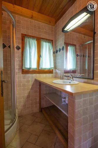a bathroom with a sink and a mirror at La Gelinotte - Jarrier in Jarrier