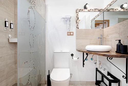 a bathroom with a toilet and a shower at La Tirajanera 1 in Vega de San Mateo