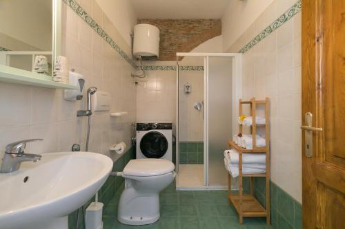 a bathroom with a toilet and a sink and a shower at Podere Nuti - 1 La Regola in Cecina