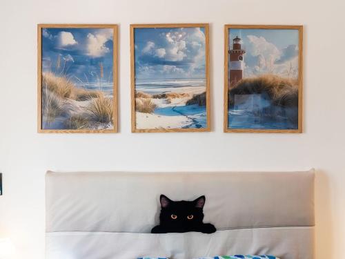 a black cat sitting on a couch in front of four pictures at Apartment Marisol by Interhome in Toirano