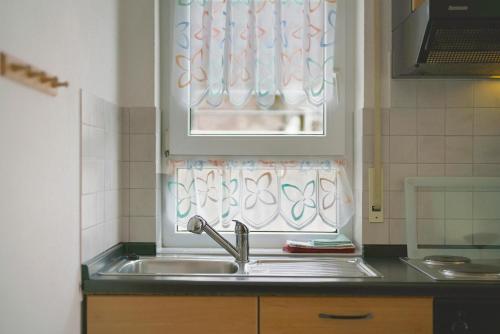 a kitchen with a sink and a window at Haus Am Weinberg 2 in Endingen