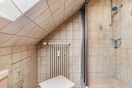 a bathroom with a shower and a toilet at Gästehaus Gerda in Bad Peterstal-Griesbach