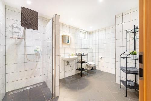 a bathroom with a shower and a sink and a toilet at Eifel im Herzen in Hambuch