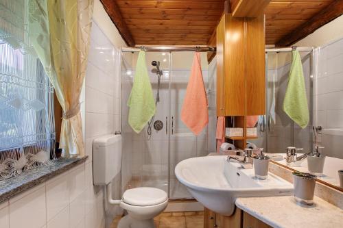 a bathroom with a toilet and a sink and a shower at Eun Tchì Vo - Gignod in Gignod