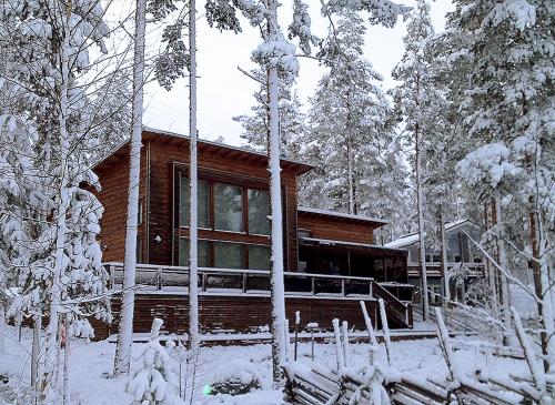 a log cabin in the woods in the snow at PielisLinna in Kolinkylä