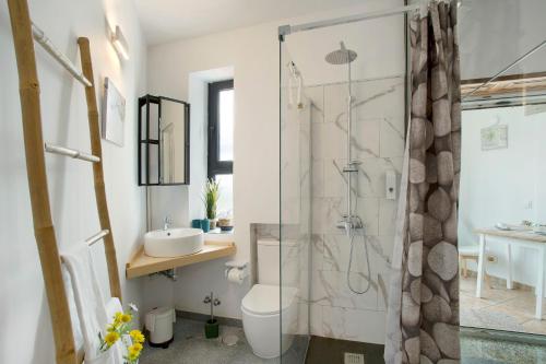 a bathroom with a shower and a toilet and a sink at Carmelo y Carmela 3 in Teror