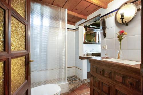a bathroom with a toilet and a sink at Finca el pilar in La Guancha