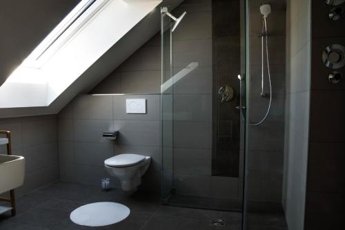 a bathroom with a shower and a toilet and a skylight at Alpenblick 3 in Lindau-Bodolz