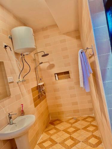 ein kleines Badezimmer mit Waschbecken und Toilette in der Unterkunft Ibigabiro Hotel in Kagano
