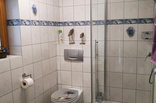 a bathroom with a shower and a toilet at Klein aber Fein in Gottmadingen