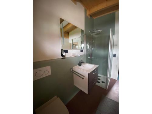 a bathroom with a sink and a shower at Ferienwohnung Sußebach mit 80 Qm in Vöhringen