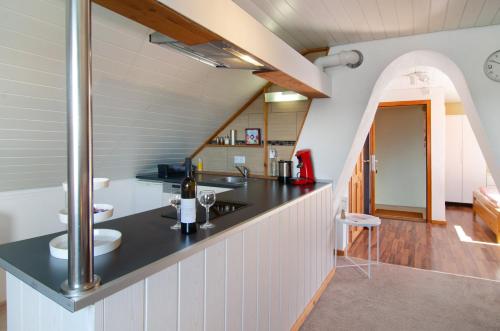 a kitchen with a counter with a sink at Joos Boardinghouse in Radolfzell am Bodensee