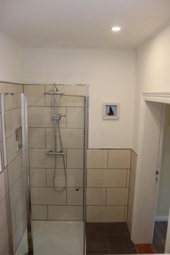 a shower with a glass door in a bathroom at Ferienwohnung Harz Idylle 2 in Güntersberge