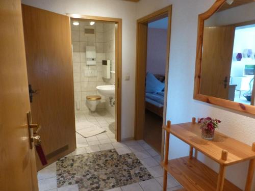 a bathroom with a toilet and a sink and a mirror at Moorwiesenhof in Ostrach