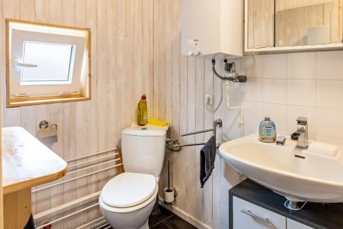 a small bathroom with a toilet and a sink at Elbtalquartier im Grünen in Bleckede