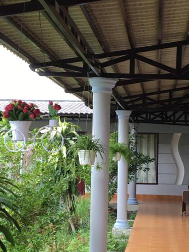 Zahrada ubytování Aurora Mekong Hotel