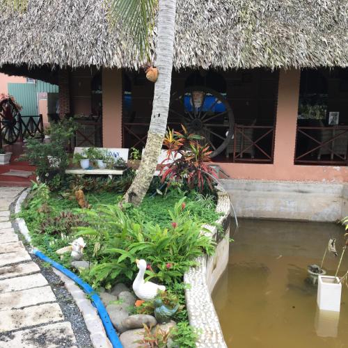 Zahrada ubytování Aurora Mekong Hotel