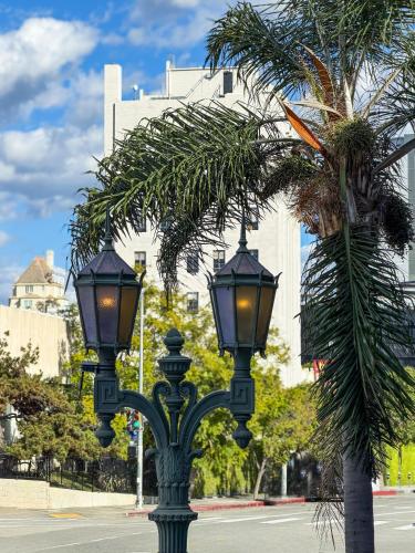 two lights on a pole next to a palm tree at The Hotel Hollywood in Los Angeles