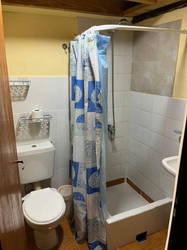 a bathroom with a toilet and a shower curtain at DEPARTAMENTOS FORTIN in Trevelín