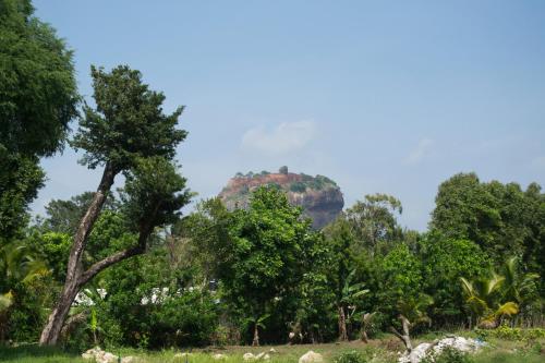 Φυσικό τοπίο κοντά σε αυτό το bed & breakfast