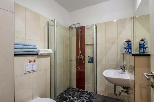 a bathroom with a shower and a toilet and a sink at Ferienwohnung Alex in Leipzig