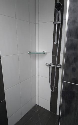 a shower with a glass door in a bathroom at Ferienwohnung Spreewald in Schlepzig