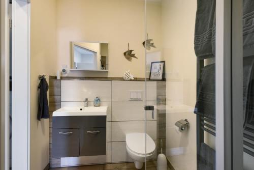 a bathroom with a toilet and a sink and a mirror at Süsse 2 Zimmerwohnung in Heiligenstedten