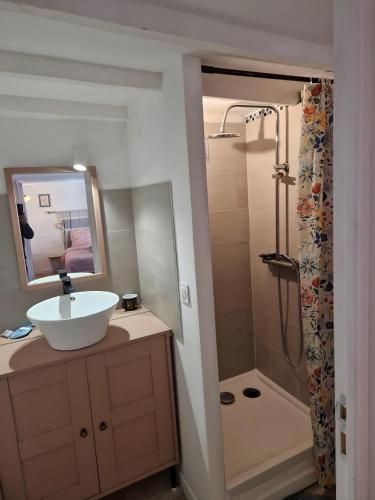 a bathroom with a sink and a shower at La Farigoulette in Aniane