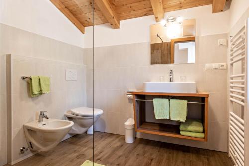a bathroom with a sink and a toilet at Thusnelda Apartment A in Siusi