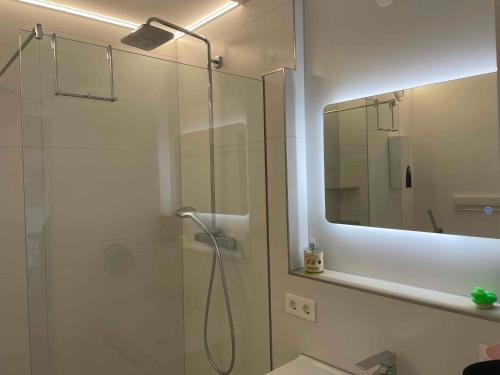a bathroom with a shower with a glass door at Guck zum Bodensee in Uhldingen-Mühlhofen