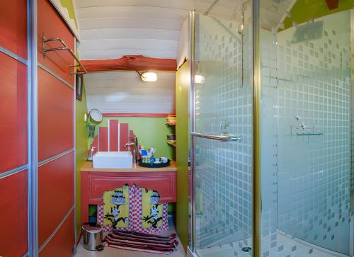 a small bathroom with a shower and a sink at Le Balcon De Loire in La Chapelle-sur-Loire