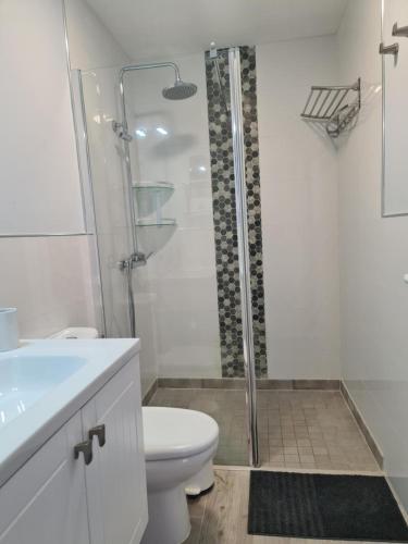 a white bathroom with a shower and a toilet at Casa Paula - 22 in Arinaga