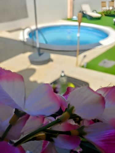 a bunch of flowers sitting next to a swimming pool at Cantinho de Paz in São Marcos do Campo