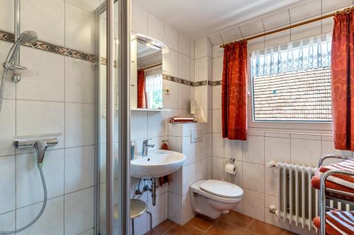 a bathroom with a toilet and a sink and a shower at Brujosenhof in Oppenau