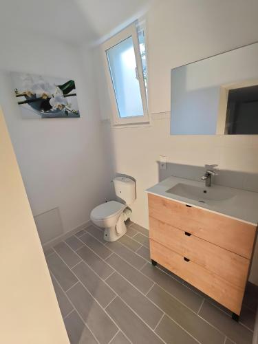 a bathroom with a toilet and a sink and a mirror at Chambre Écureuil in L'Ile-Bouchard