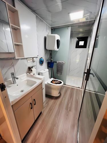 a small bathroom with a toilet and a sink at Tinyhaus 200 in Zadelsdorf